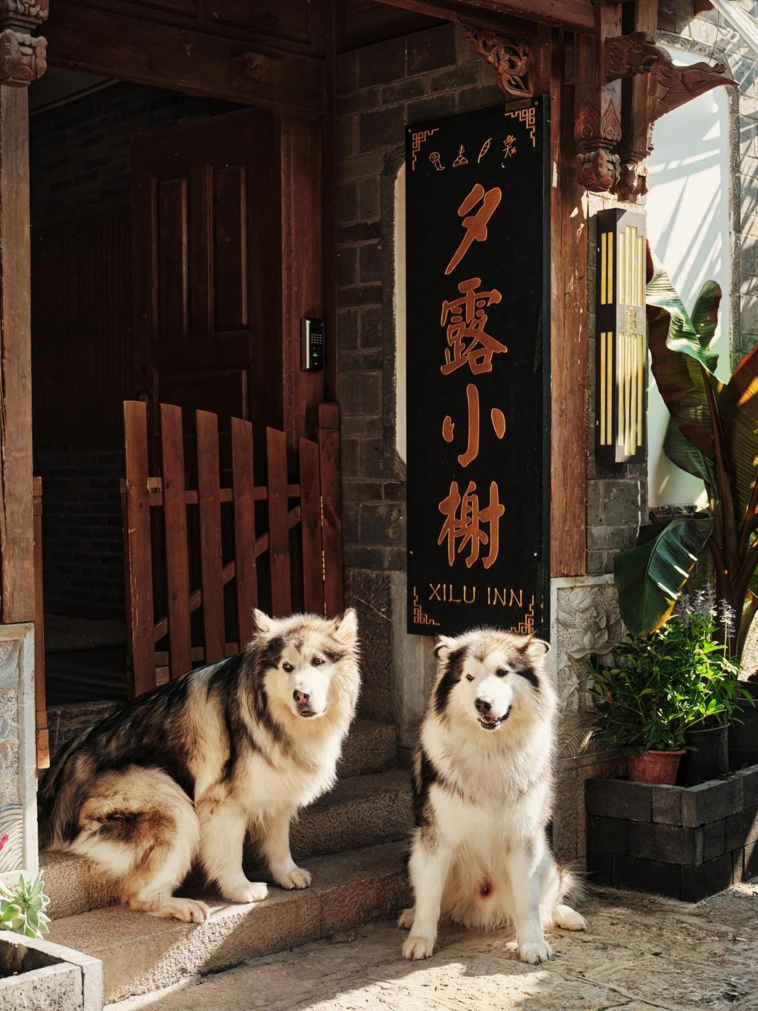 Xilu Xiaoxie Inn Old Town Lijiang Lijiang  Exterior photo